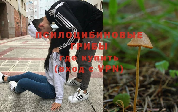 mix Алексин