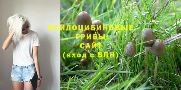 mix Алексин