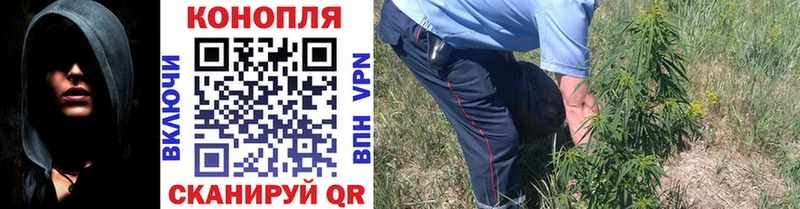 Марихуана тримм  мега вход  Калининск 